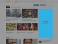 300x600 inside pages